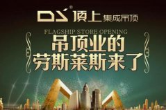 集成墙板十大名牌排行：oulu欧陆第二，顶上ds排第一位